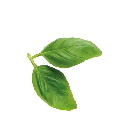 foglia